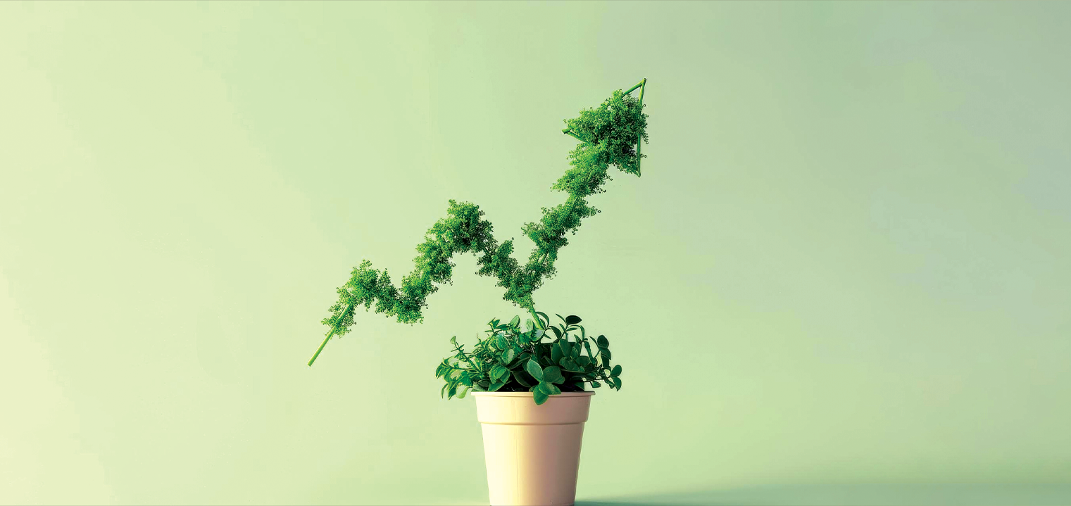 Organic Traffic Growth Remains Essential