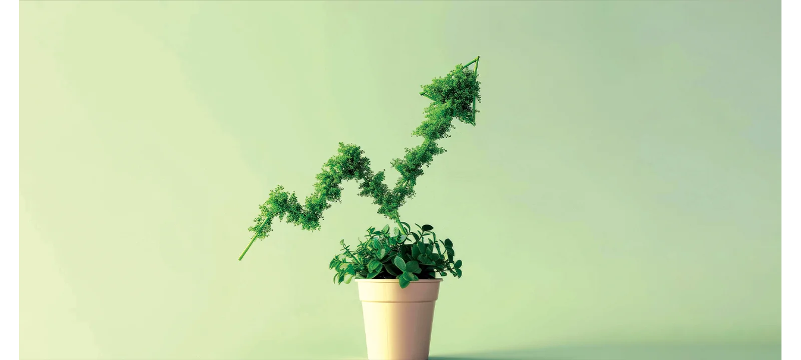 Organic Traffic Growth Remains Essential